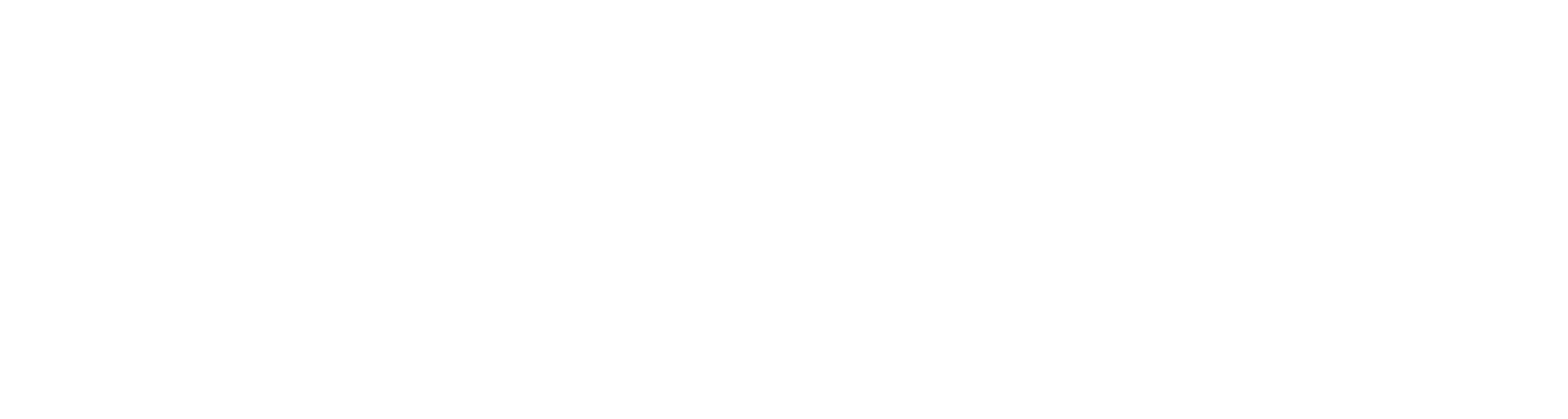 Logo LDNS